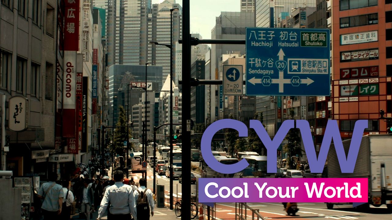 video Tokyo: la metropolitana più grande del mondo