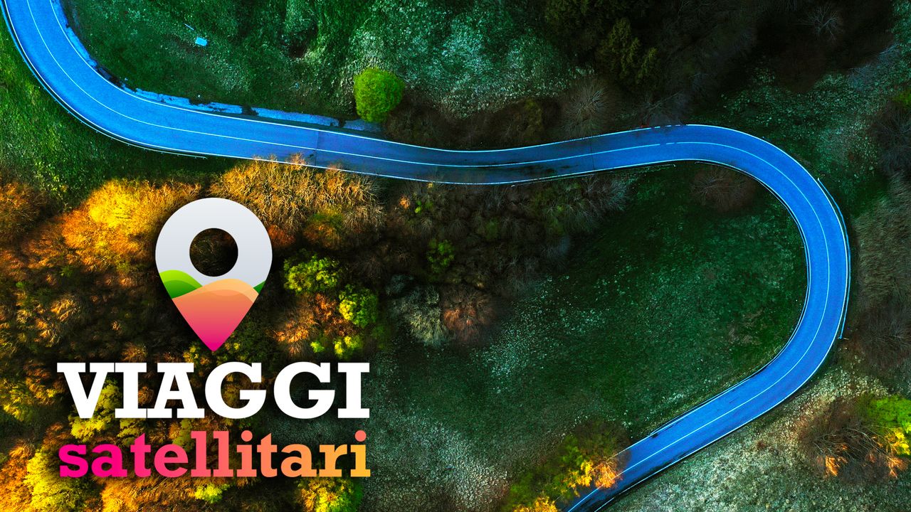 video Alberi monumentali