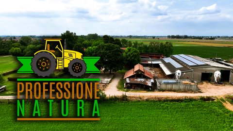 Come si fa il formaggio?