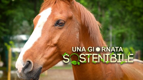 Pet e horse therapy: come farsi del bene