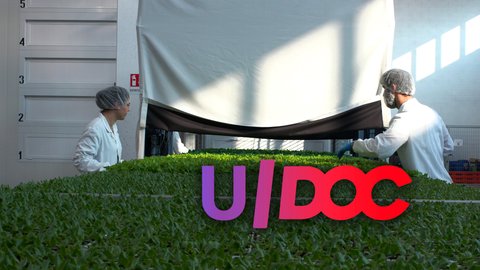 L'agricoltura verticale per crescita e sostenibilità