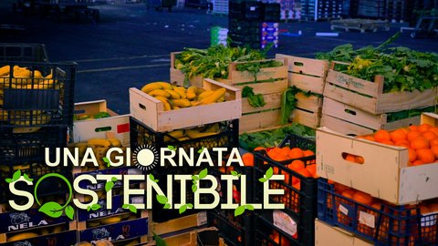 Contro lo spreco alimentare per recuperare il senso di solidarietà