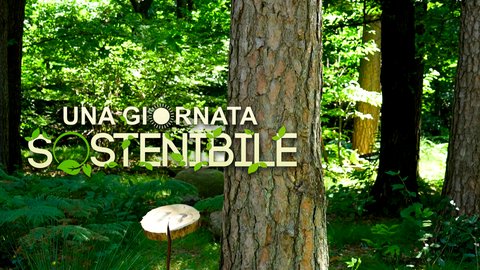 Il potere terapeutico della natura