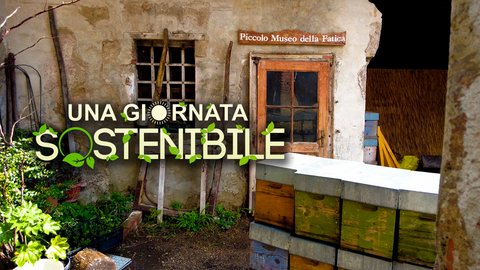 Apicoltura Urbana